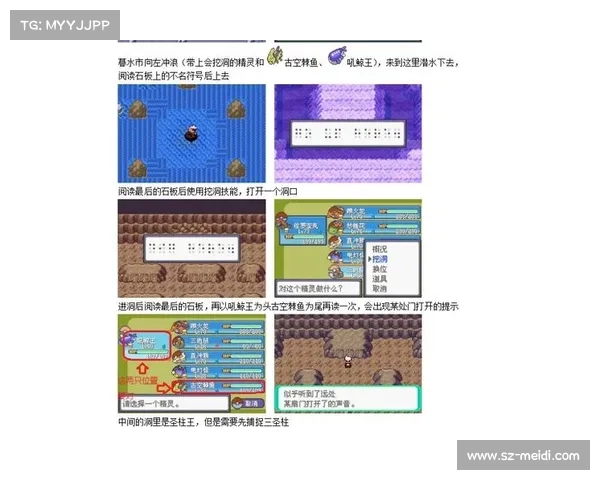 涅磐洞:单机版口袋妖怪通关秘籍 涅磐洞:单机版口袋妖怪通关秘籍