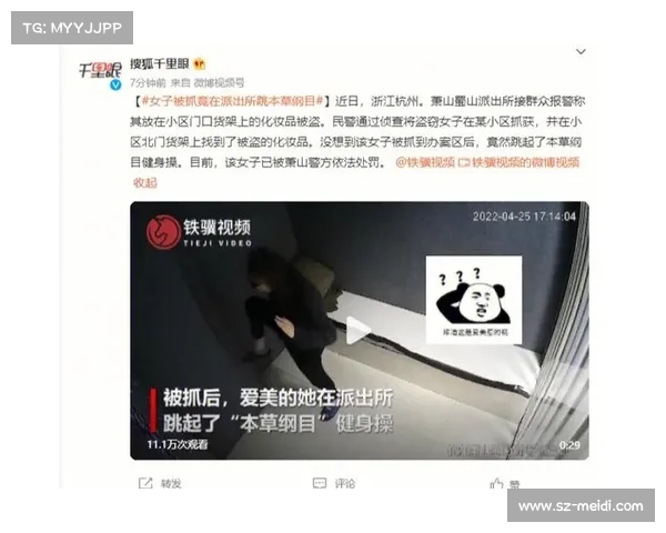 盗窃默契：无形共犯，巧夺珍宝