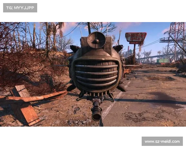 辐射4：伙伴用药指南